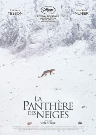 la_panthere_des_neiges-319843389-mmed.jpg
