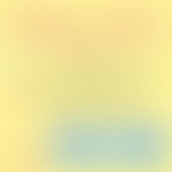 What's Your Favorite Color?