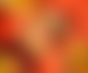 Khao's Everyday Bowls: Comfort Food with a Nutritional Punch