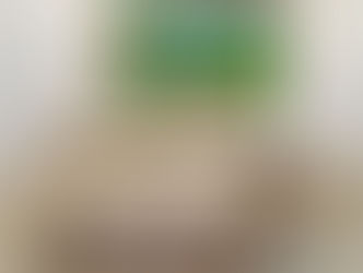 Enter Net na Moderna Idade