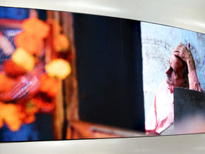 O entendimento do ser