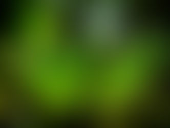 "Vento ventania, não leve meu destino"