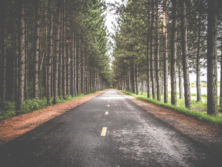 Why People Followed Jesus