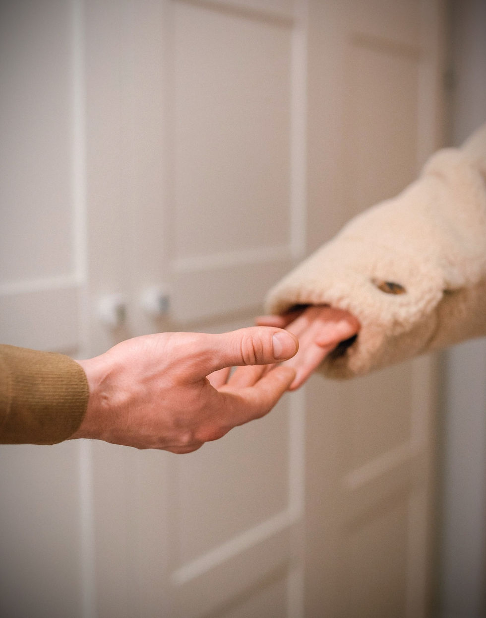 A man's hand and a woman's hand are extended with fingertips touching.