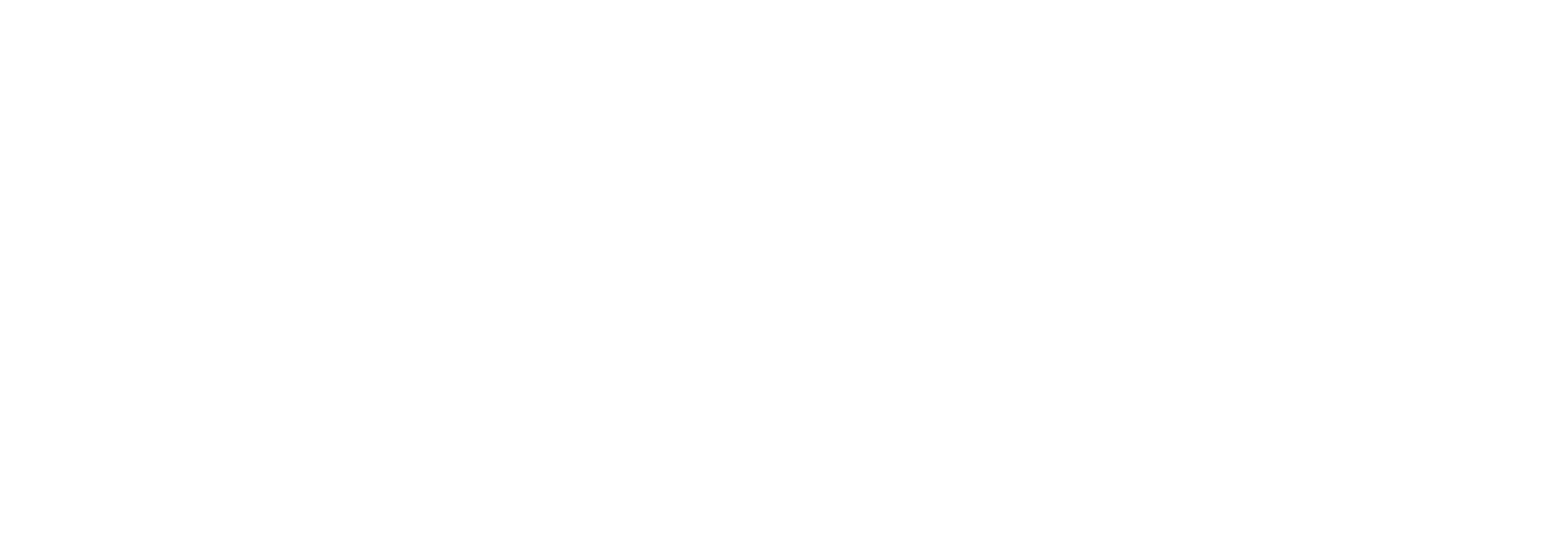 Logo Mendes Holler - SERVICE-09.png