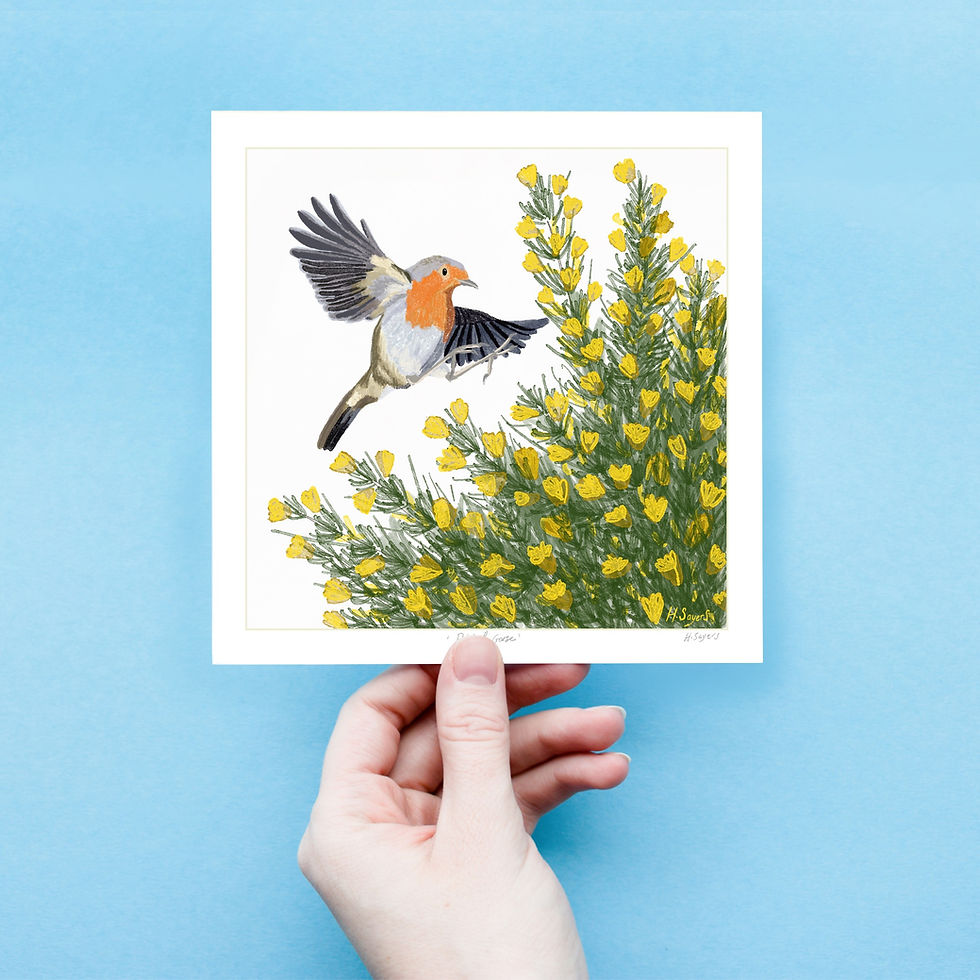 Thumbnail: Gorse &amp; Robin Greetings Card Wholesale