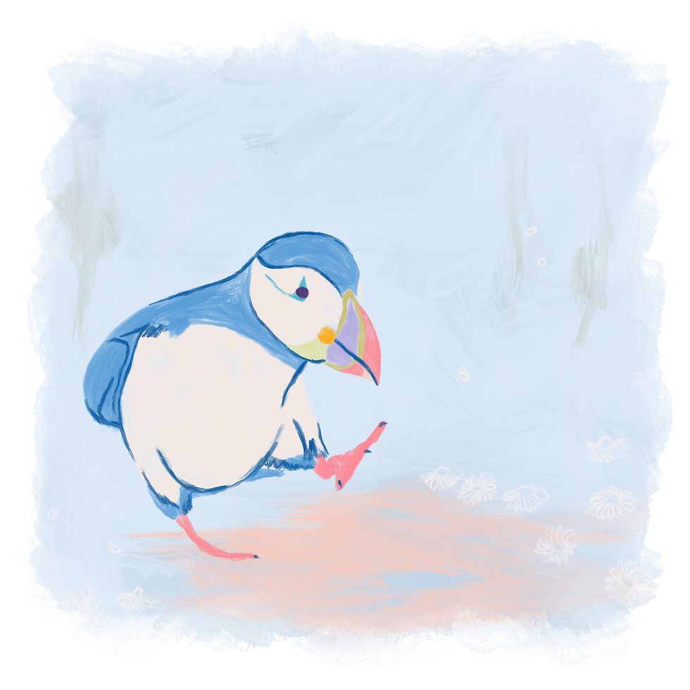 Thumbnail: Puffin card for all occasions. Unique Irish greetings cards by Kerry artist Hannah Sayers of Sayers Studio.