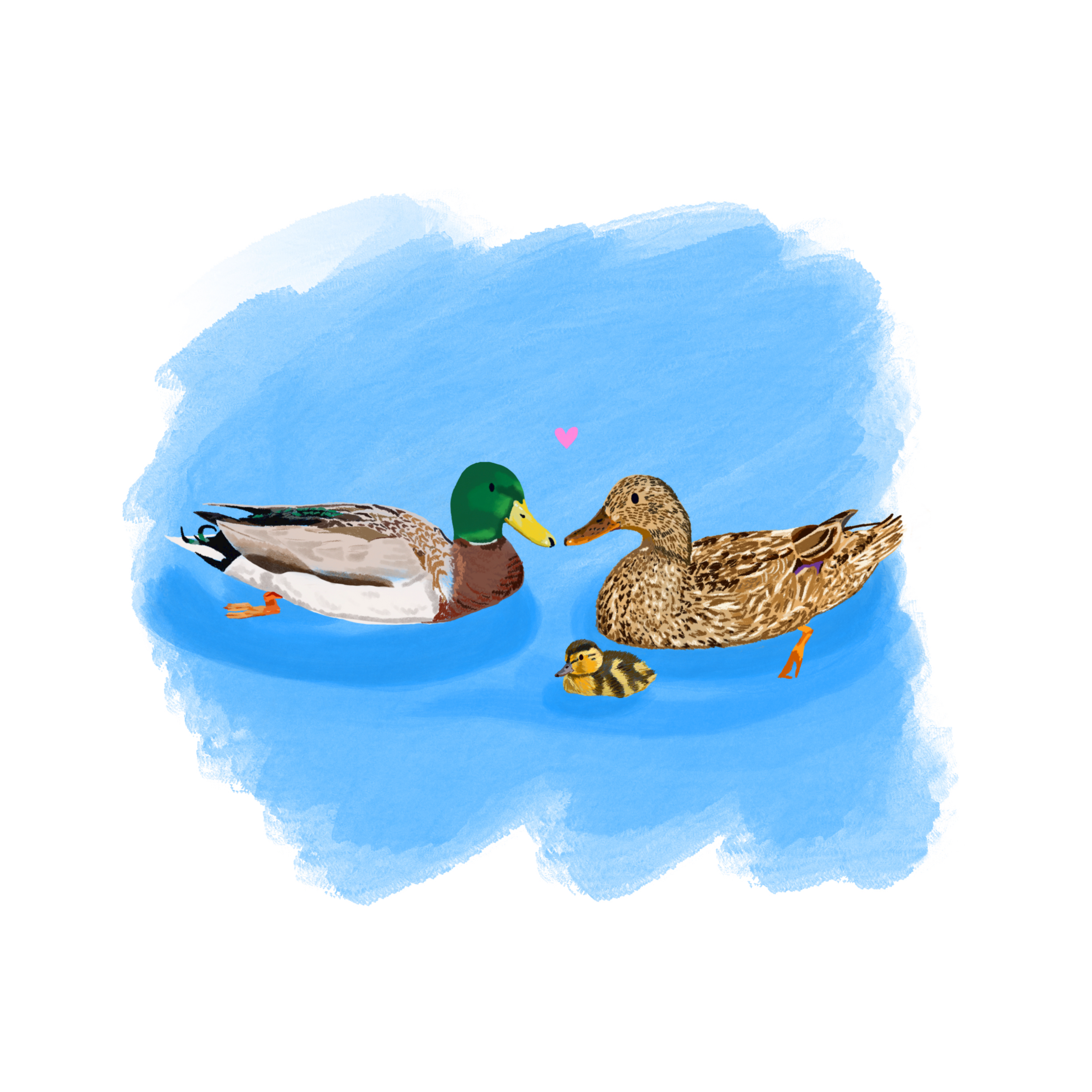 Family of Ducks Greetings Card