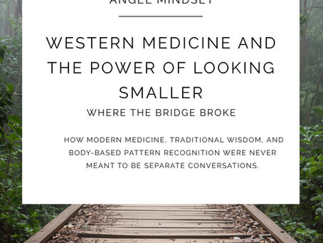 Western Medicine and the Power of Looking Smaller