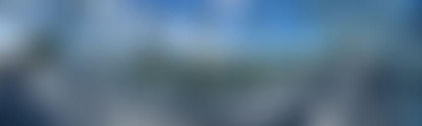 11/2020 - Hafenbrücke Alberthafen - Dresden