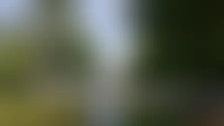 06/2023 - ENB Brücke ü. d. Einlauf Knappensee