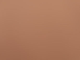 Pourquoi Maison LAC choisit l’Exception pour vos Cigares: Le Cedrus Odorata 