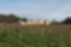 DSC_1985.jpeg