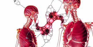 physiopath.webp