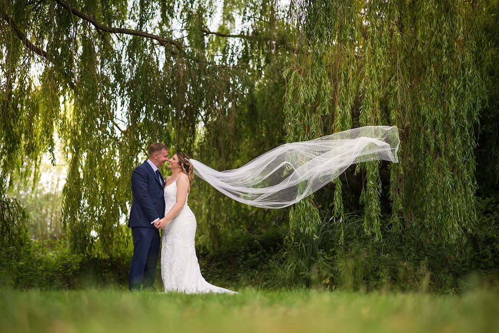 Kellie & Darren under the great willow at the reid rooms
