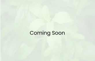 STEVIA