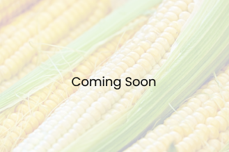 CORN