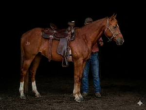 image_10f00f57.png