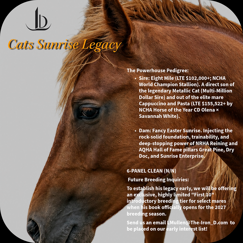 Cats Sunrise Legacy
