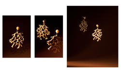 Product Photography
