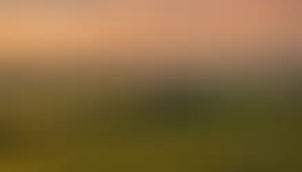 Descobrindo Friuli-Venezia Giulia: Um Guia para a Região Italiana Escondida