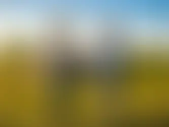 Contrato de Arrendamento Rural: O Que Diz a Lei e Como Evitar Prejuízos