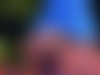 Reforço Temporário no Tribunal de Veneza para Acelerar Processos de Cidadania