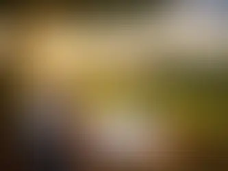 Financiamento Agrícola Negado: O Que o Produtor Pode Fazer Legalmente