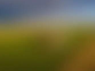 Crédito Rural: entenda como evitar juros altos e proteger sua produção