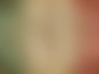 Árvore Genealógica Grátis: Os Melhores Sites para Encontrar seus Antepassados Italianos sem Custo