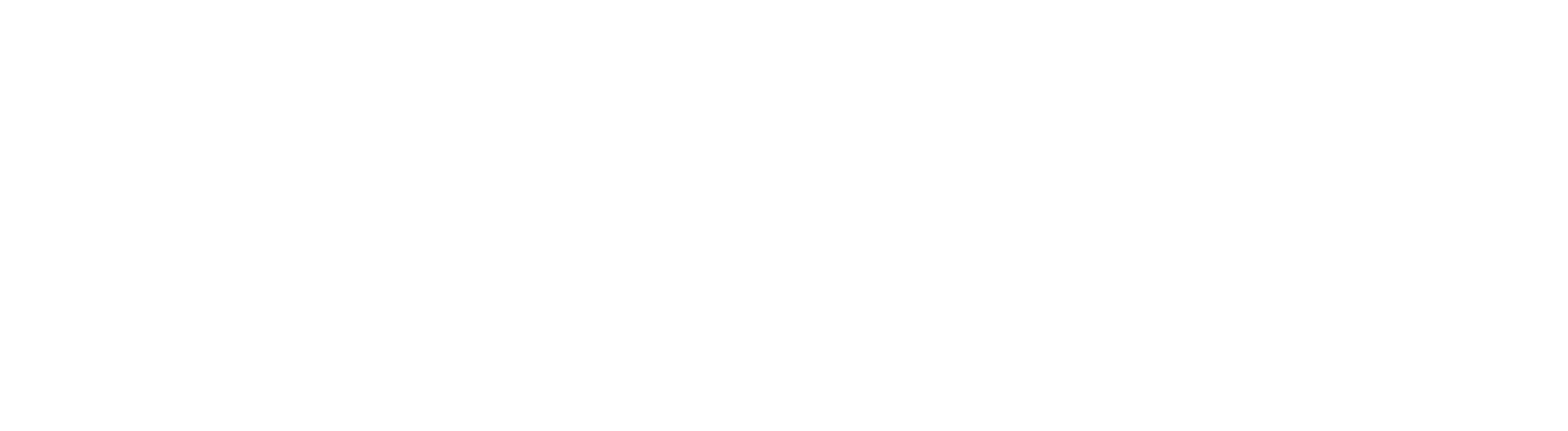 Logo horizontal blanc.png
