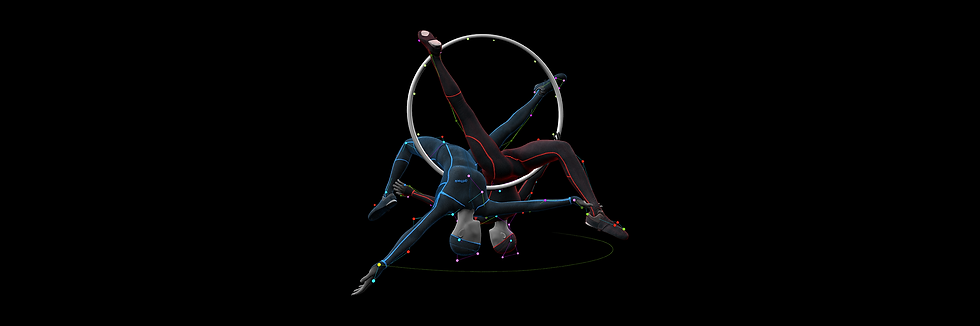 Motive Optical motion  capture software.png