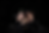 KSW_3142.png