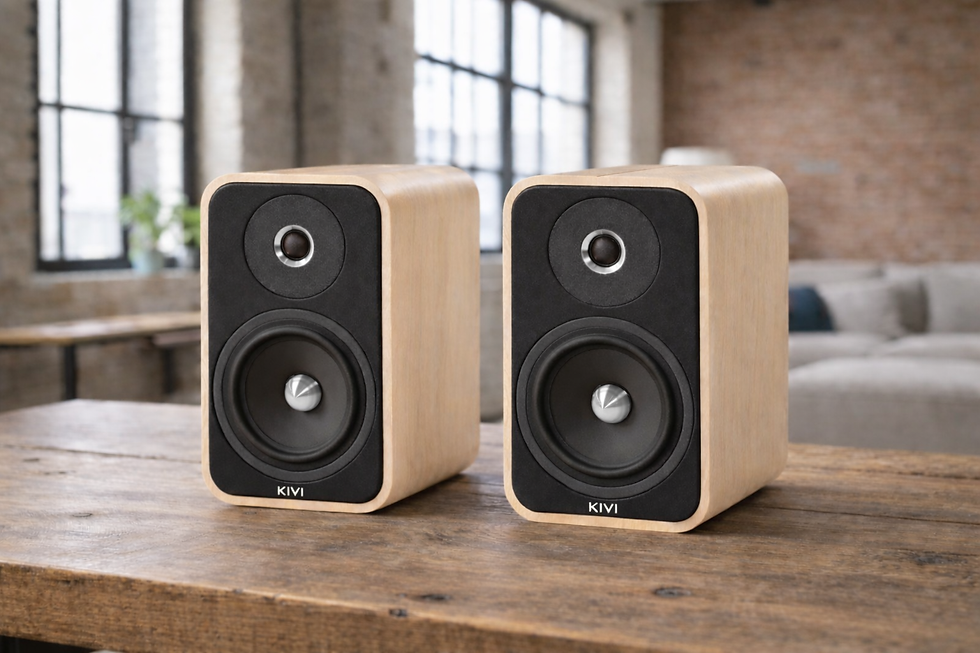 kivi acoustics puu kaiutin wood speakers (7).png