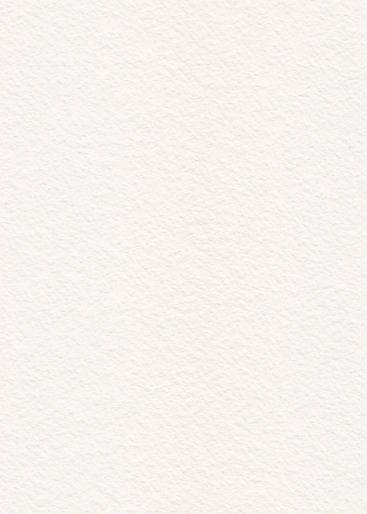 Canvas Background.jpg