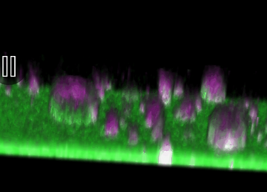 Screenshot 2025-07-22 at 00.52.41.png