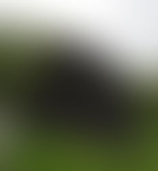 Episode 141: Curses, Powwowing, and Murder: The Hex Hollow Case