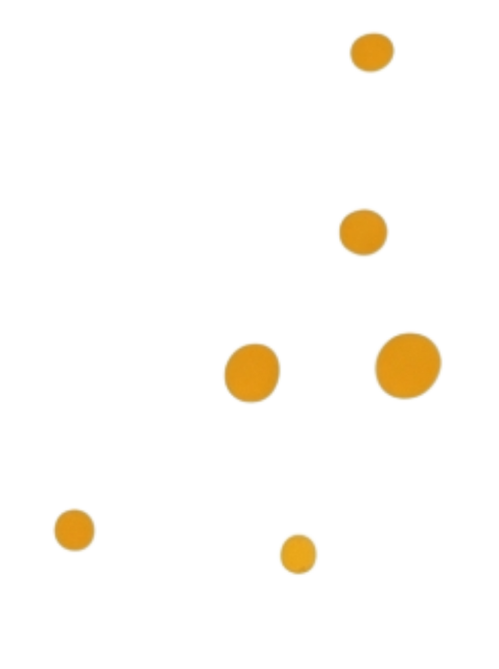 background removed (7).png