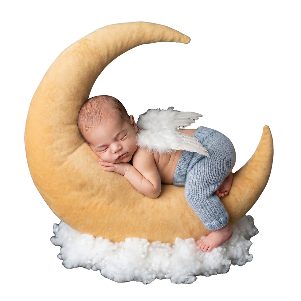 background removed (10).png