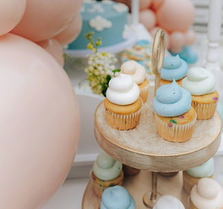 Birthday Party Photography New Hampshire Event Photographers
