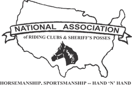 NARCSP Logo_edited.png
