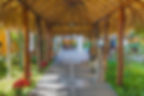 _A646635.jpg