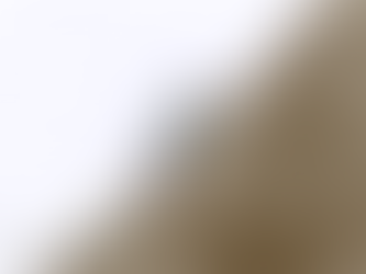 המדרון החלקלק של המסקנות השגויות. והמסקנה המתבקשת האחת.