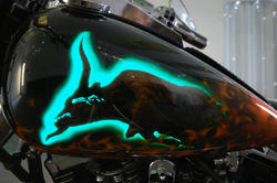 LumiLor Clemens LumiLor longhorn (3)