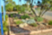 Low water use Australian native gardens to provide urban habitat