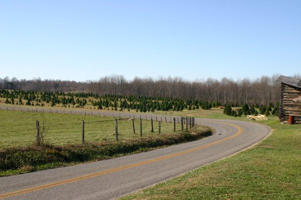 Sunny Day Farm Road