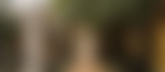 DUONG LAM VILLAGE: RUSTIC SOUL REMAINS IN A TOURIST SPOT