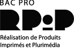 logo RPIP vectorisé NOIR.png