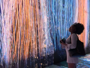 Beyond the Canvas: Exploring NYC’s Non-Art Museums