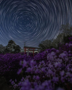 「星夜に咲く」